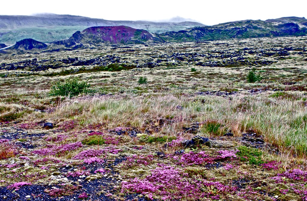 Незабываемая Исландия Николая Красавина (фото 11)