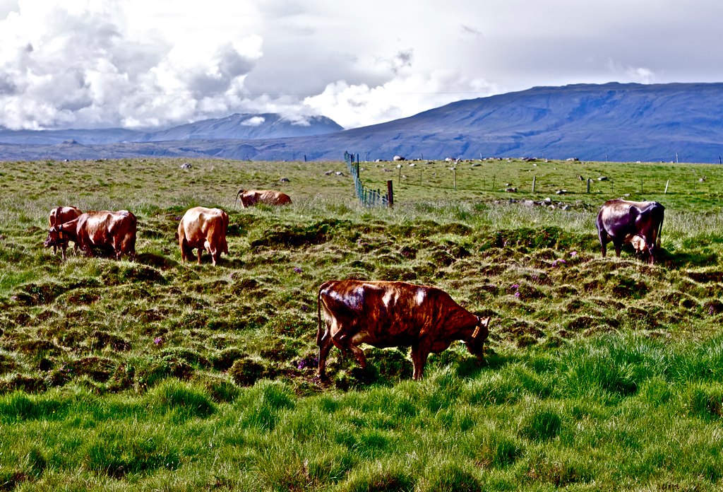 Незабываемая Исландия Николая Красавина (фото 19)