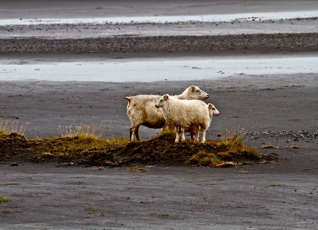 Незабываемая Исландия Николая Красавина (фото 12)