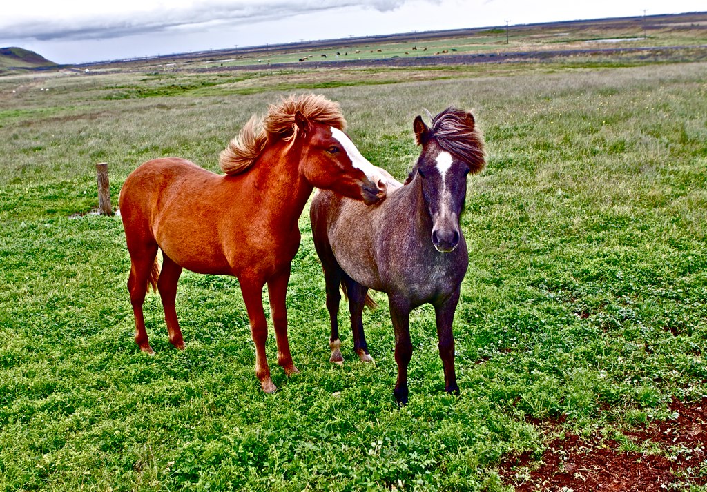 Незабываемая Исландия Николая Красавина (фото 24)