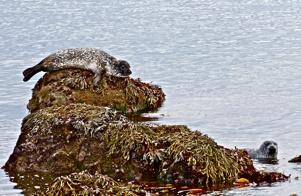 Незабываемая Исландия Николая Красавина (фото 17)