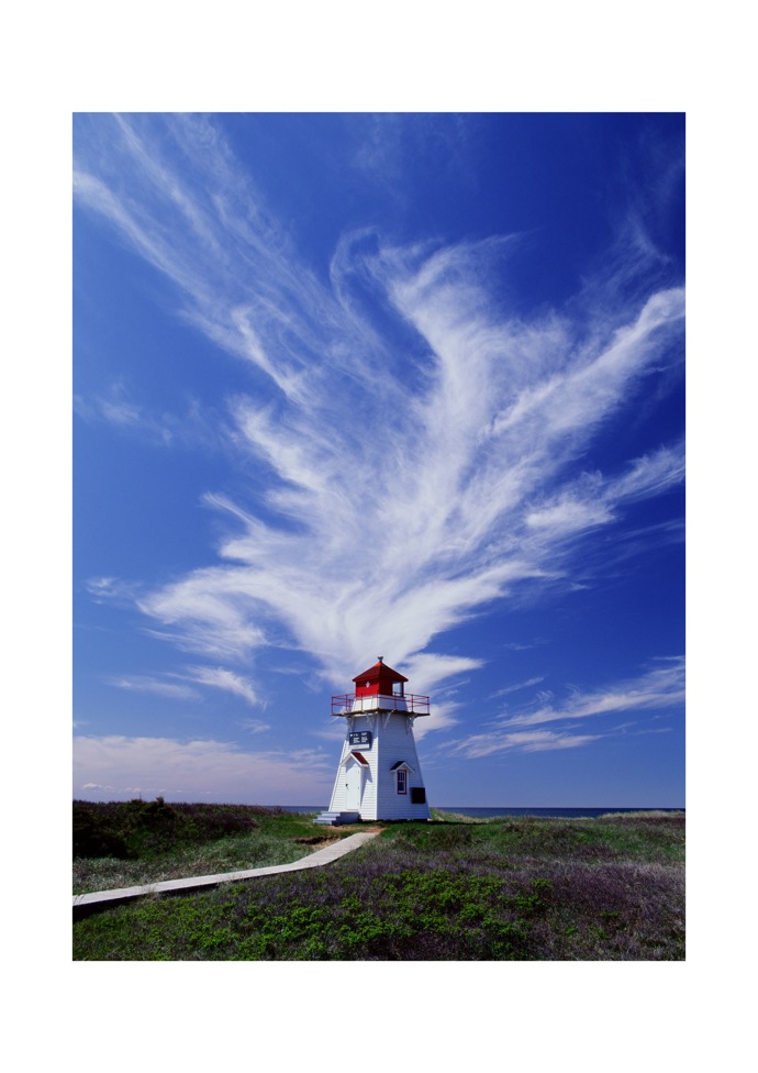 Выставка современной японской фотографии (фото 5)