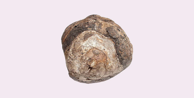 Серая амбра кашалота. Китовая амбра. Серая амбра на белом фоне. Серая амбра в парфюмерии. Янтарь амбра.