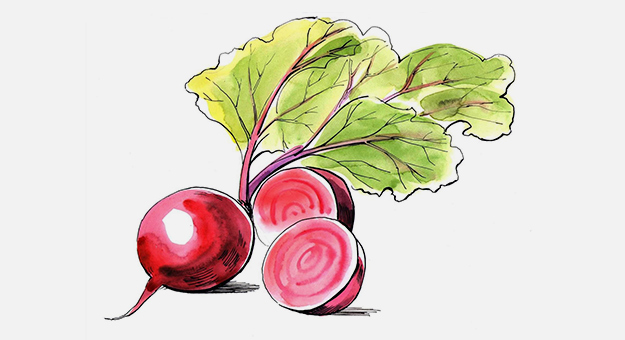 Все о борщах и о том, как их готовить, — советы шеф-повара