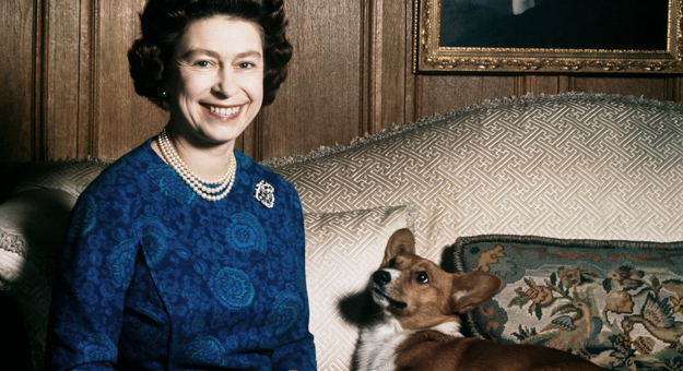 У Елизаветы II появился новый корги