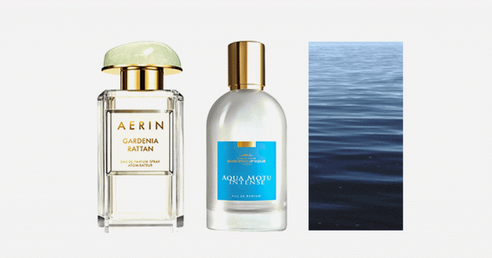 Что нужно знать об ароматах моря, которые помогут продлить лето