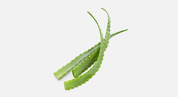 Алоэ и пантенол: первая помощь при солнечных ожогах