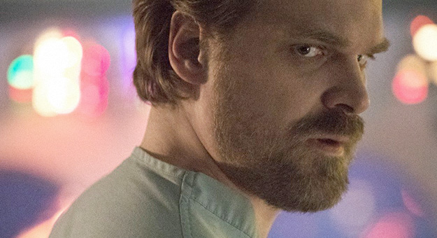 Шериф Хоппер из «Очень странных дел» станцует с пингвинами в Антарктике