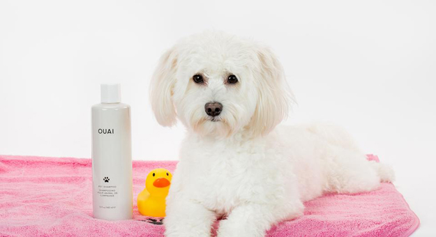 Стилист Ким Кардашьян выпустила шампунь для животных