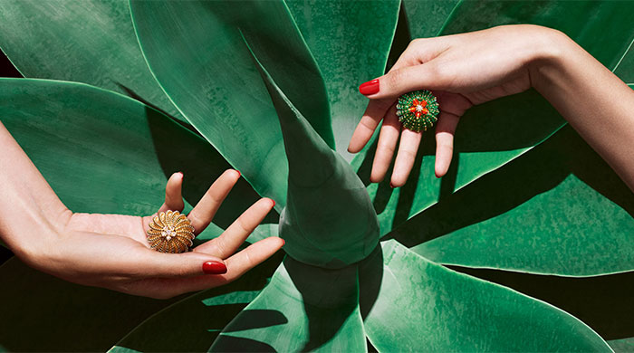 Свободная духом: коллекция украшений Cactus de Cartier