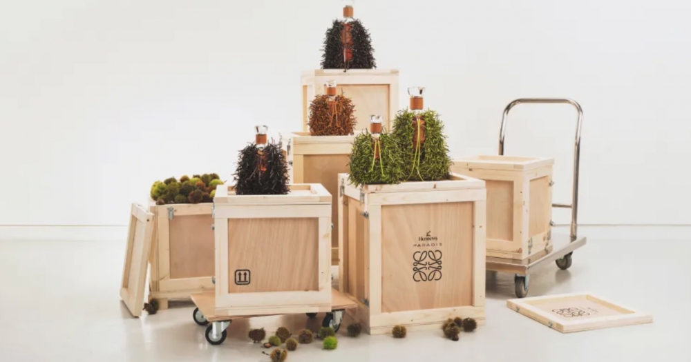 Loewe совместно с Hennessy выпустил кожаный футляр для напитков