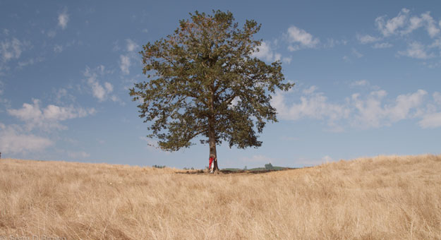 К 1 сентября движение ЭКА запустило акцию «Лес вместо букета»