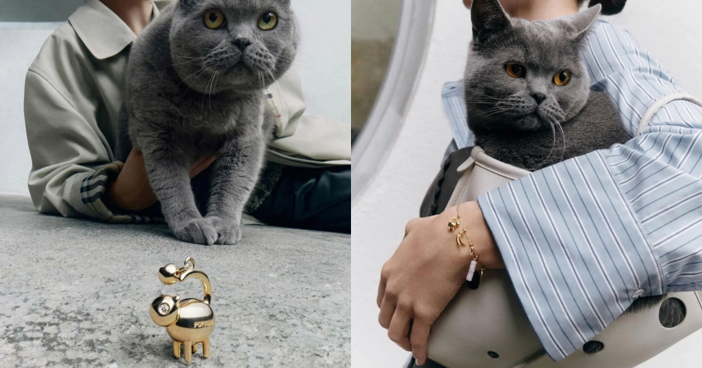 В России появился испанский ювелирный бренд Pdpaola