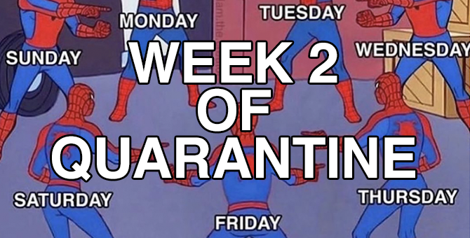 Коронавирусная мемотерапия BURO. продолжается: порно, коты и желание трогать лицо