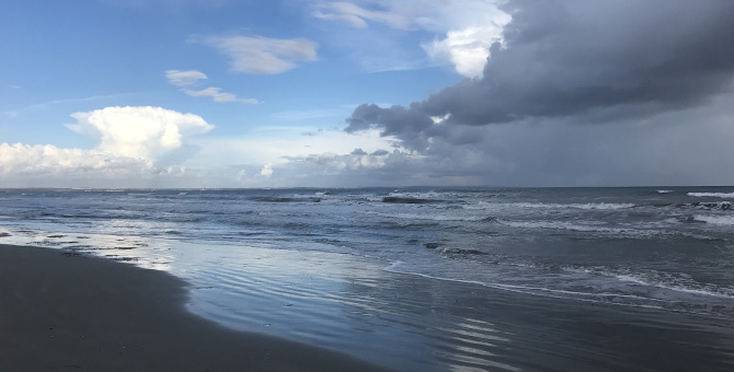 Коронавирус на Кипре: комендантский час, штрафы по 150 евро и измученные прогулками собаки на острове