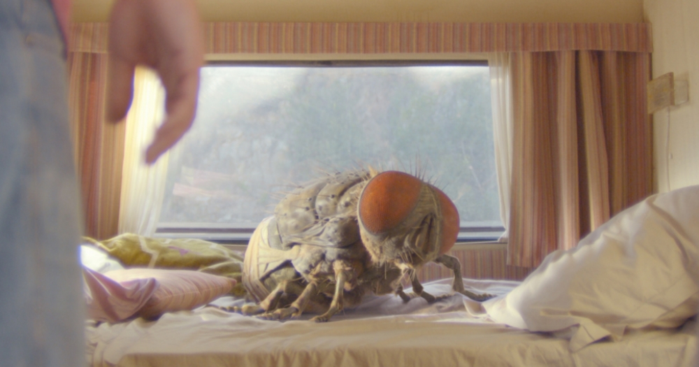 Венецианский фестиваль по регистрации и в маске: новые Лука Гуаданьино, Андрон Кончаловский и Квентин Дюпье