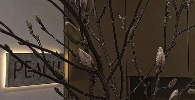 В салоне Peach появилась услуга наращивания ресниц с мокрым эффектом