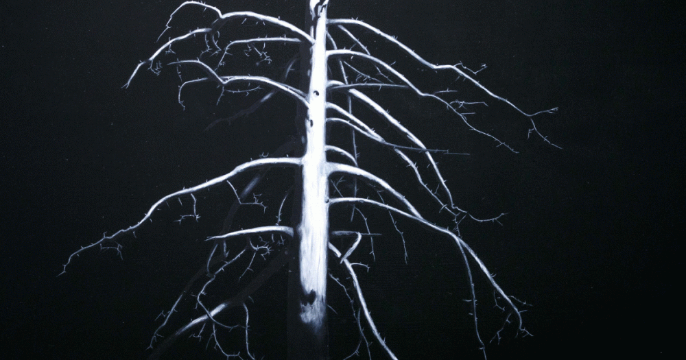 Художники и кураторы — о том, что для них значит программа «Молодые львы» в MMOMA