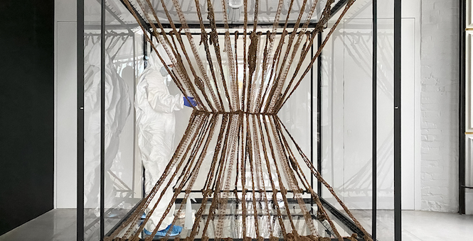 В Orekhov Gallery открылась биоарт-выставка «Лиформ / Живые мегаструктуры»