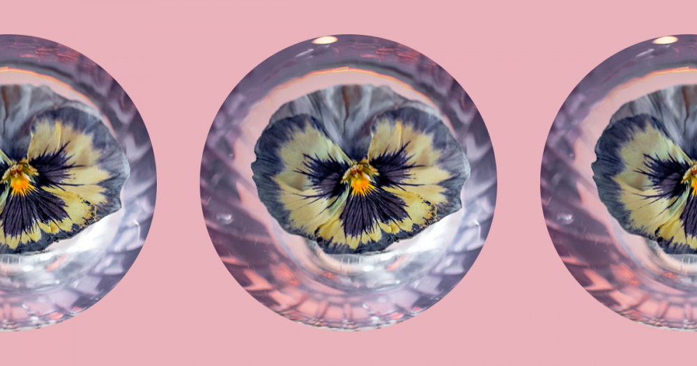 Бразильский Rio, кисло-сладкая «Воздвиженка» и новая классика: где пробовать коктейли в Москве