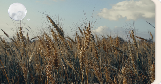 Что слушать о жизни и культуре народов России: 7 подкастов