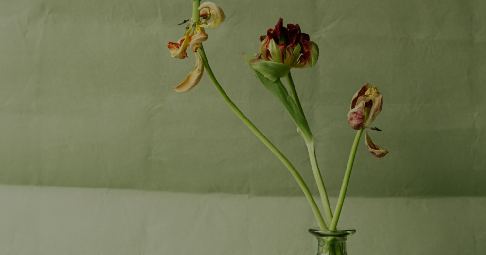 Ранний климакс: причины, симптомы и прямое руководство к действию