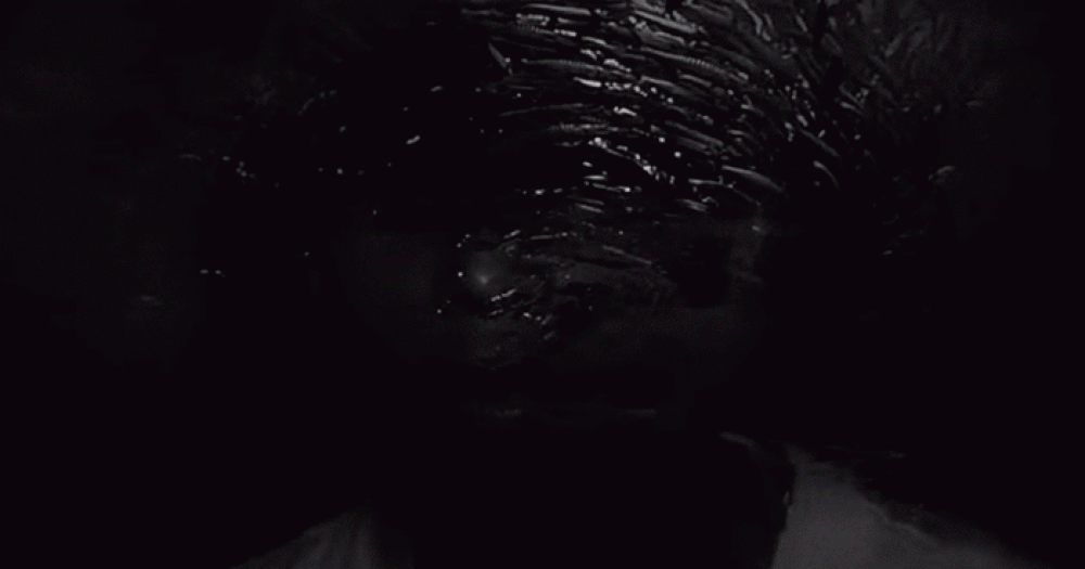 Григорий Добрыгин в ролике Фаррелла Уильямса для Superstars by adidas Originals