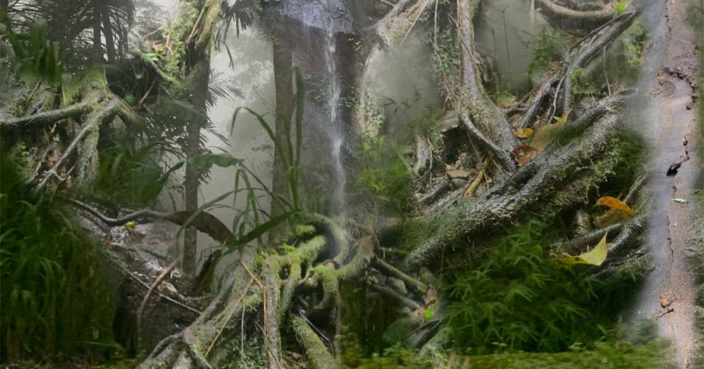 Художники рисуют для BURO: специальный проект Московской международной биеннале молодого искусства