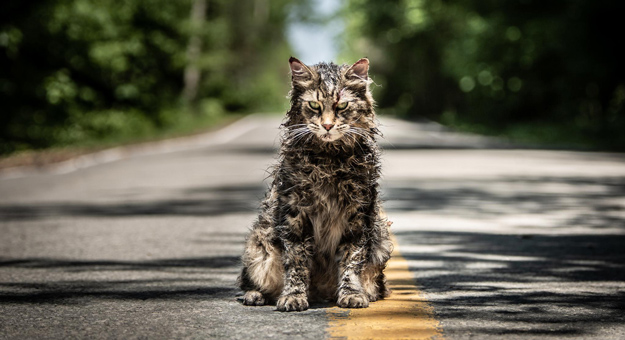 В Сети появился трейлер новой экранизации «Кладбища домашних животных» Стивена Кинга