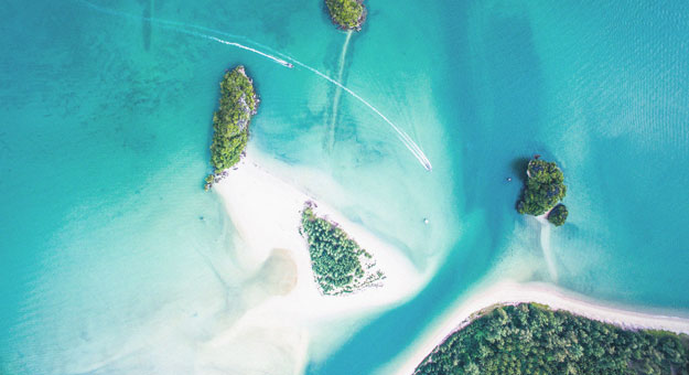 Avito запустил собственный сервис для поиска авиабилетов и туров