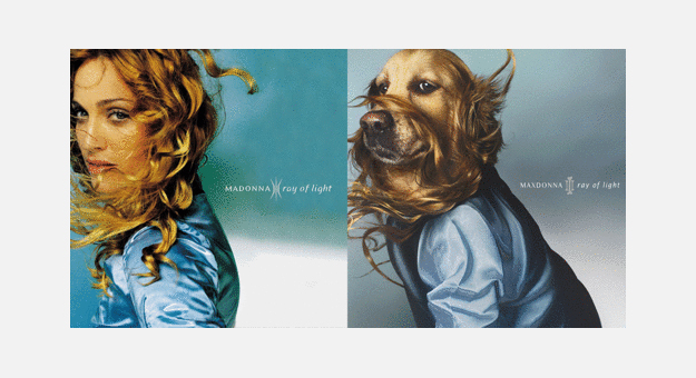 Французский фотограф повторил знаменитые снимки Мадонны с помощью своей собаки