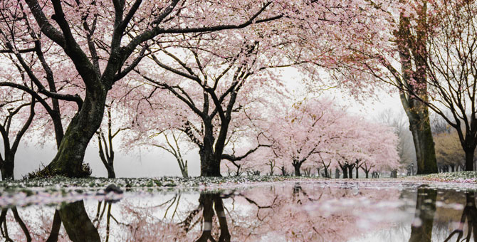 Музыка, под которую хочется гулять весной наедине с собой, — плейлист Buro.