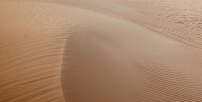 Бьюти-компоненты, вызывающие аллергию на солнце