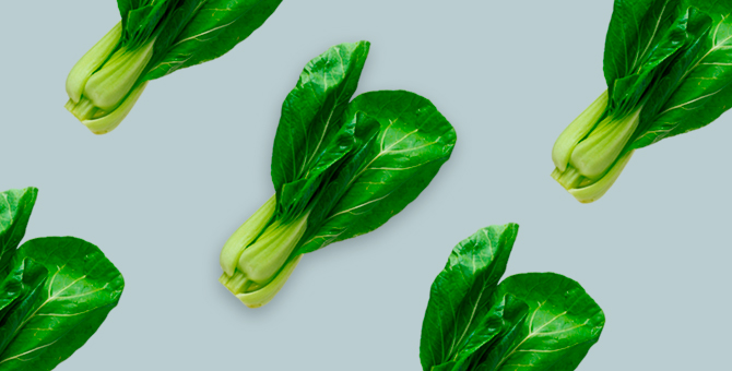 Новые сервисы и программы по доставке питания