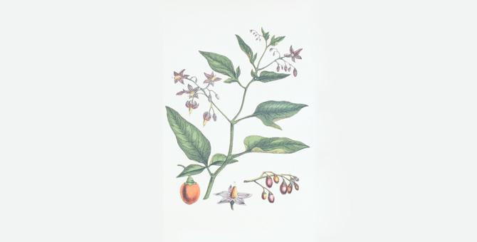 Экологичное производство: как бьюти-бренды сохраняют природу