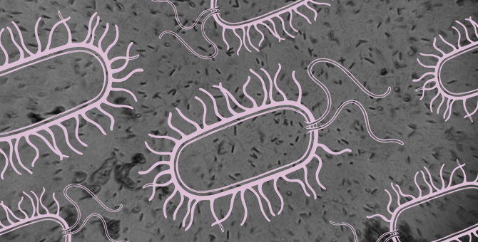 Наука в Instagram: 7 самых интересных аккаунтов о микробиологии и космосе
