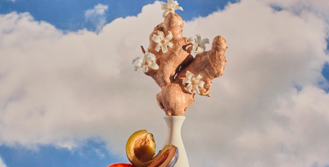 Художники сделали работы из овощей и фруктов для проекта онлайн-галереи Sample и Даниловского рынка