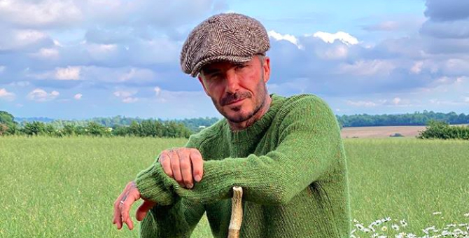 Во время карантина Дэвид Бекхэм увлекся пчеловодством