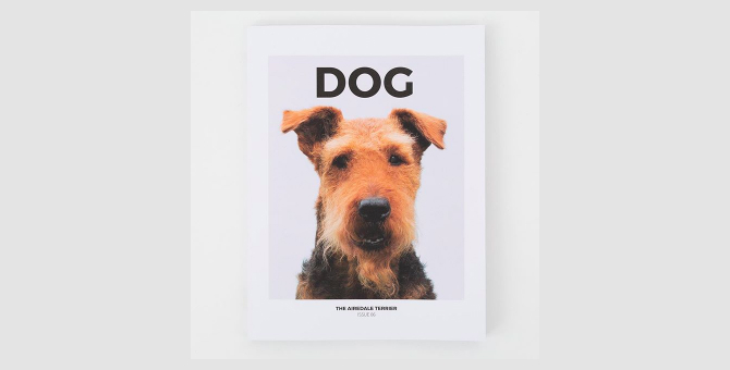 Журнал Dog посвятил новый номер памяти пса Дриса ван Нотена