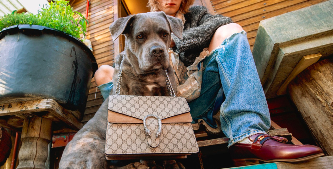 Gucci показал новые кадры из карантинной кампании осень-зима 2020