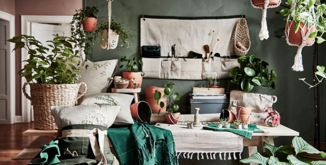 IKEA выпустила коллекцию для домашнего садоводства