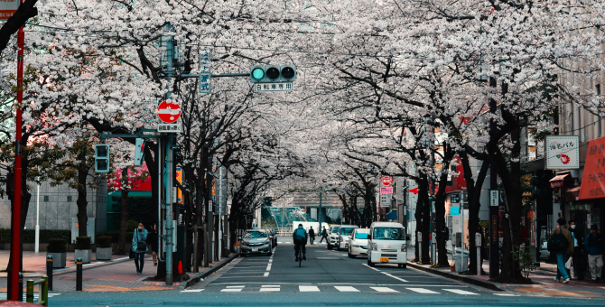 Японские власти раздадут гражданам по 100 000 иен из-за коронавируса