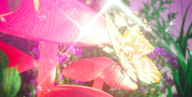 The Weeknd и Кельвин Харрис выпустили совместный трек «Over Now»