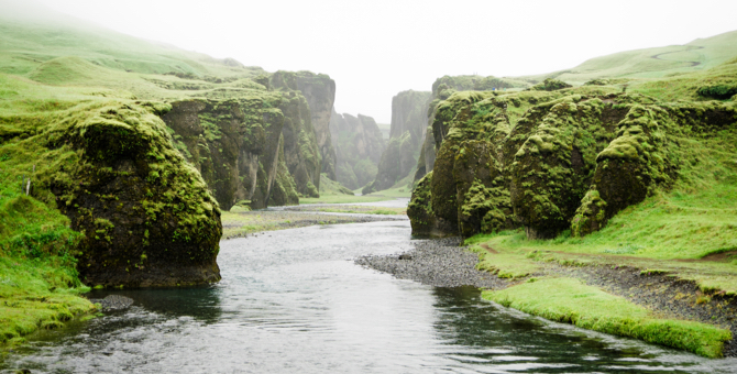 Greenpeace предложил всем желающим заняться уборкой пластика на берегах водоемов