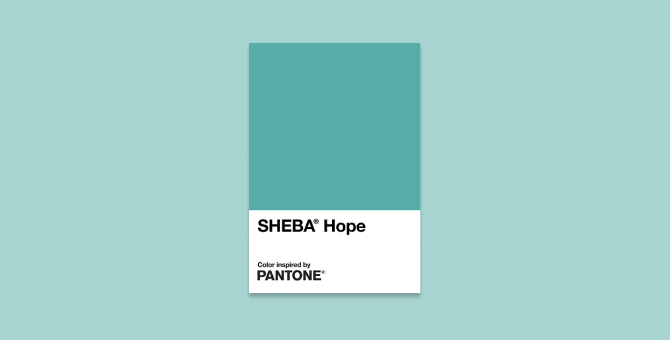 Pantone посвятил новый сине-зеленый оттенок восстановлению коралловых рифов