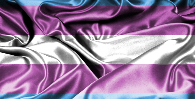 Правительство не одобрило поправки Елены Мизулиной, запрещающие трансгендерам вступать в брак и усыновлять детей