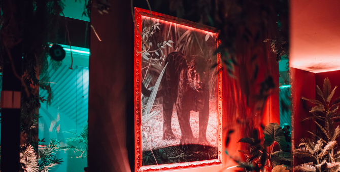 В галереях «Времена года» появилось поп-ап-пространство, вдохновленное джунглями