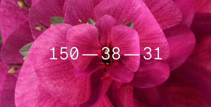 Эксперты WGSN назвали главные цвета сезона весна-лето 2022