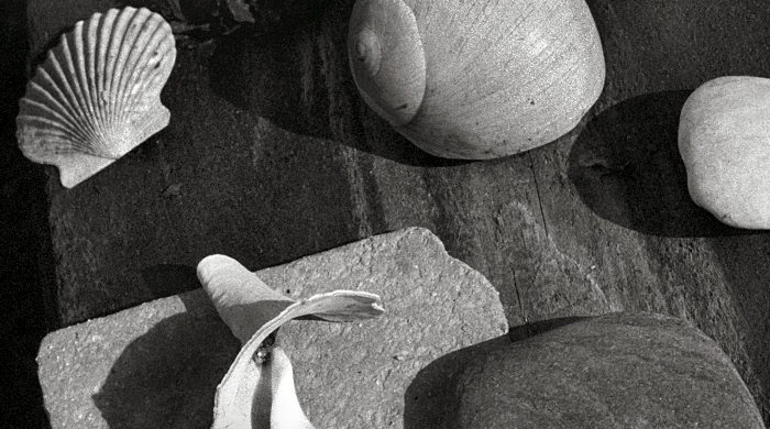 Первая американская выставка серии MONO Ральфа Гибсона