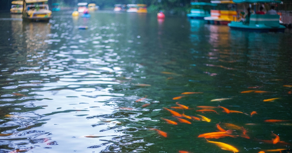 Вдохновение